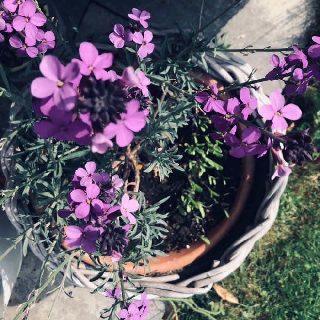 2626F191-2A51-4920-A96E-349BD626177D_1_201_a