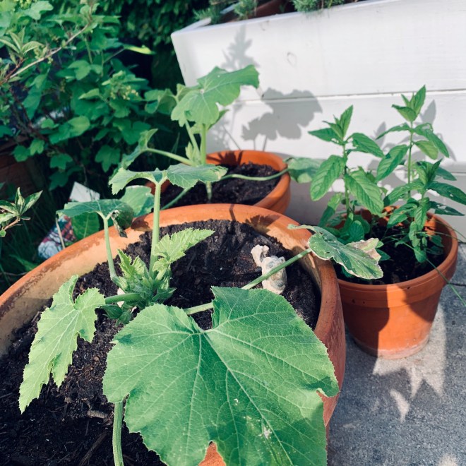 5AFCCC43-AEEB-4C6F-B2D0-CEADFE9EB89E_1_201_a