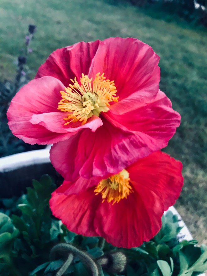 9A7B0EEB-6665-472D-8D8B-0BAD0135BE7E_1_201_a