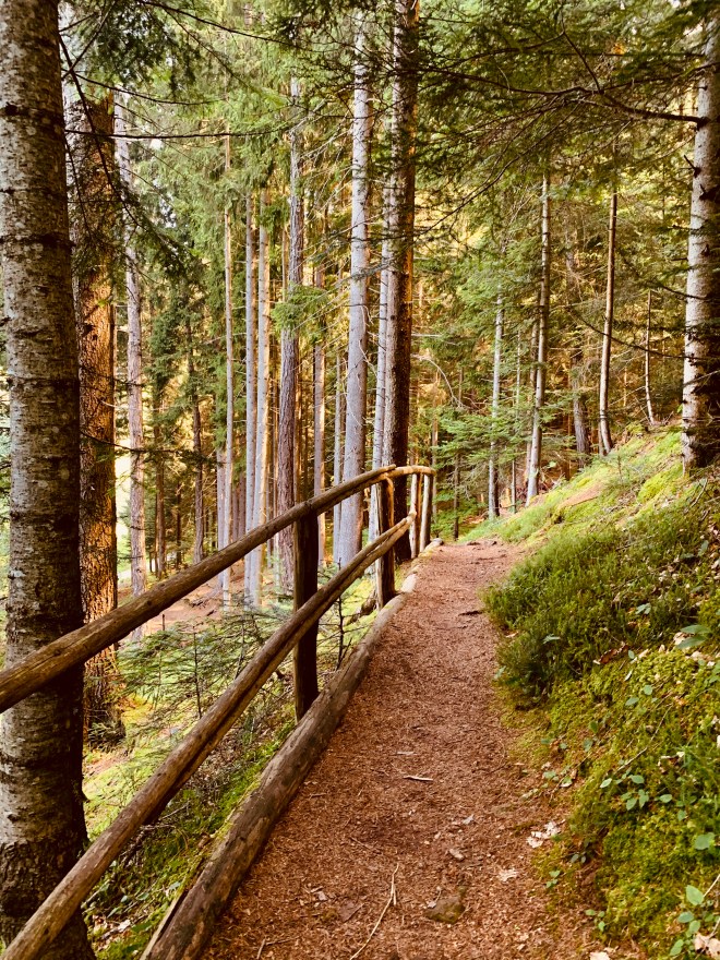 1B16D738-488E-4A18-A3D0-A577E8ADB6E2_1_201_a