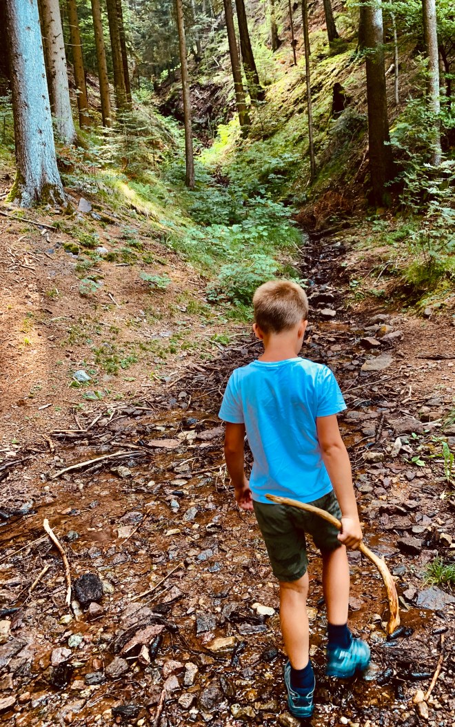 2B74C470-7FED-48F0-8F3F-C09A5641F861_1_201_a