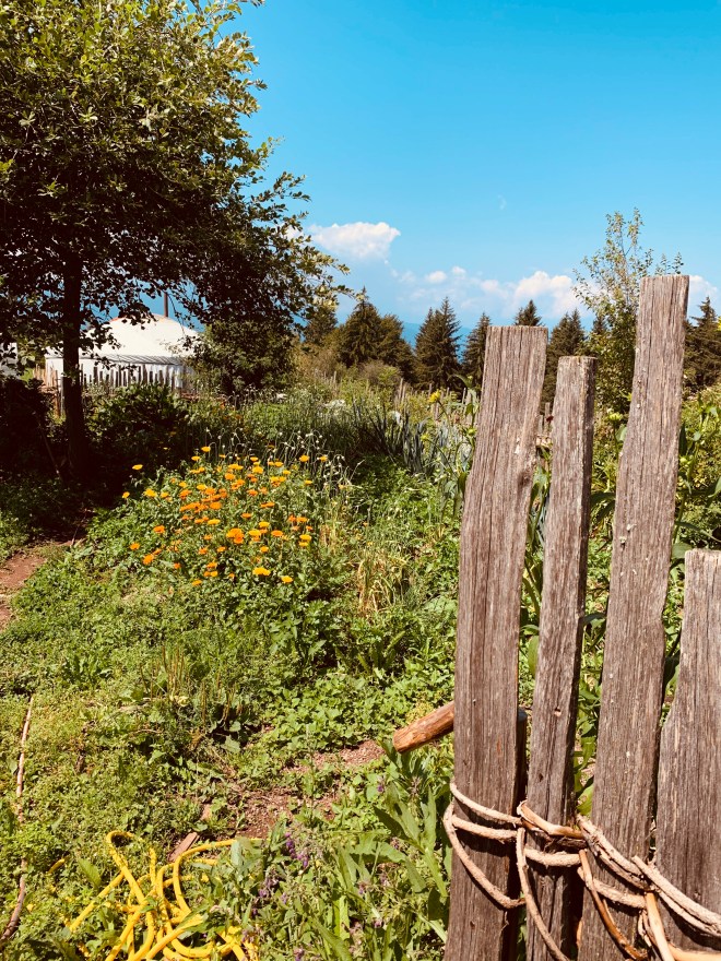 31A38935-9A4E-47A5-99B9-CDDA8E9E8BF6_1_201_a