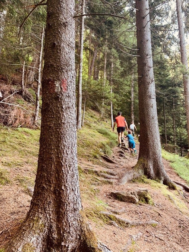 53BE10A3-2CAD-4112-91F3-972CD1B6E398_1_201_a