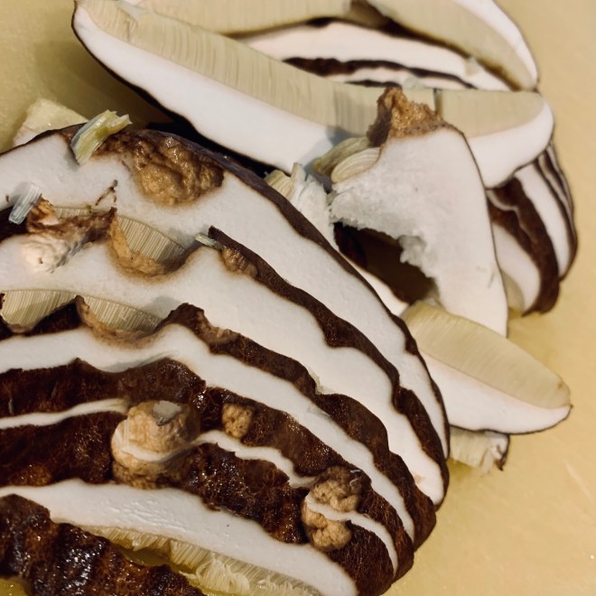 EF4DFA5E-0426-42A2-A5BE-536F907A94E1_1_201_a