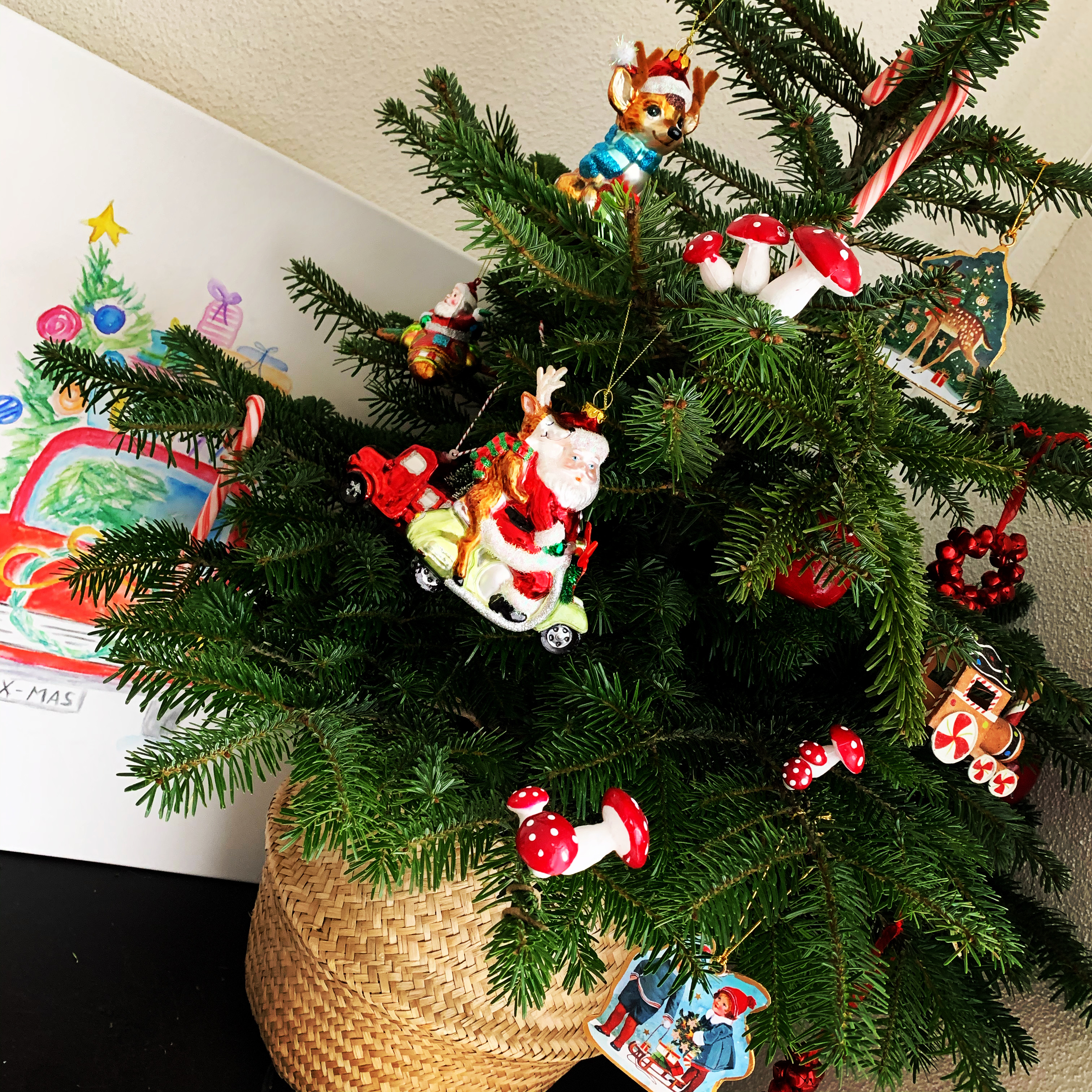 436C699E-A384-4A66-A1A0-051E96CA365D